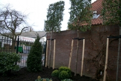 jacvdoord7