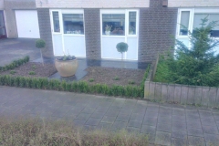 onderhoudsvriendelijke_tuin-20 onderhoudsvriendelijke_tuin-20