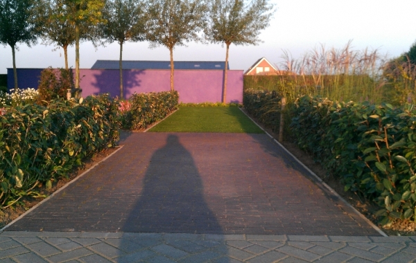 showtuin-2