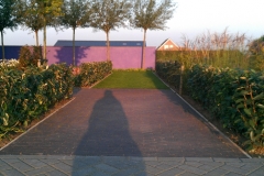 showtuin-2