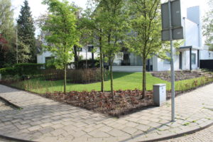 tuin met verhoging 10