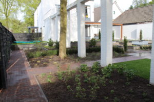 Grote uin met verhogingen 6
